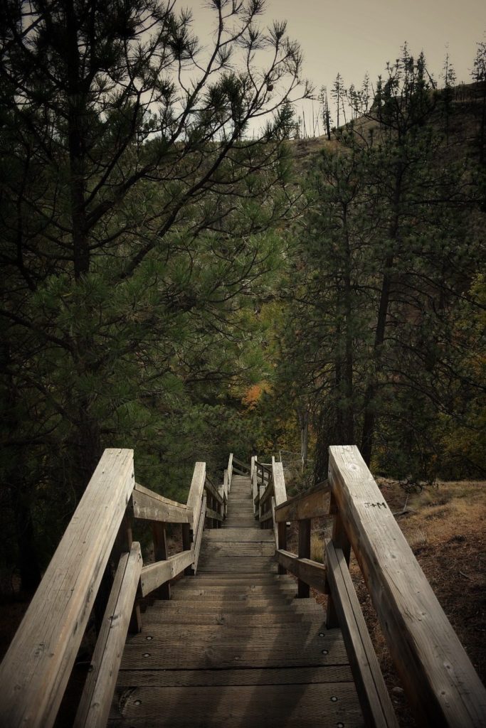 Wooden stairs while hiking the Canyon Rim Trail at Bear Creek Provincial Park in West Kelowna, BC. 