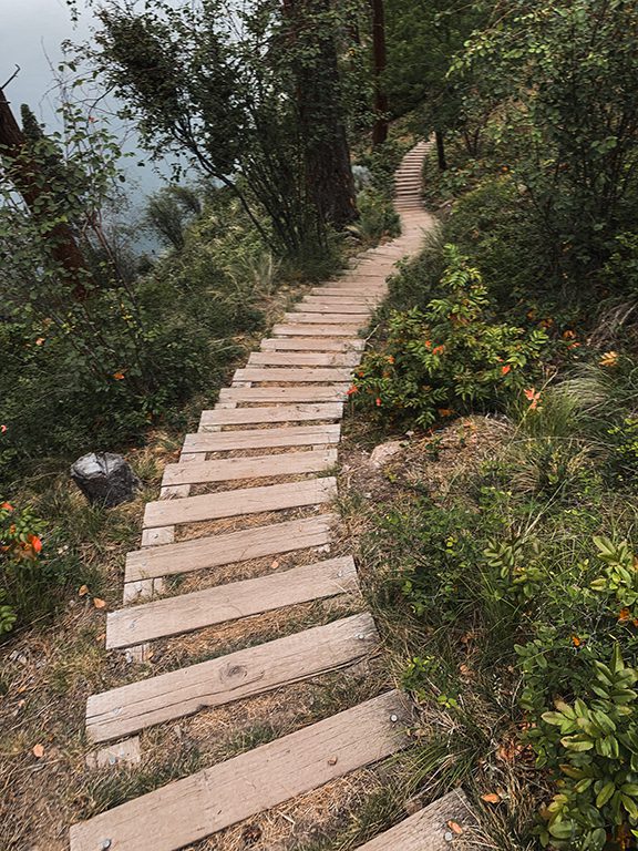 Steps going down in the forest, while Kelowna hiking at Knox Mountain on the Lochview Trail