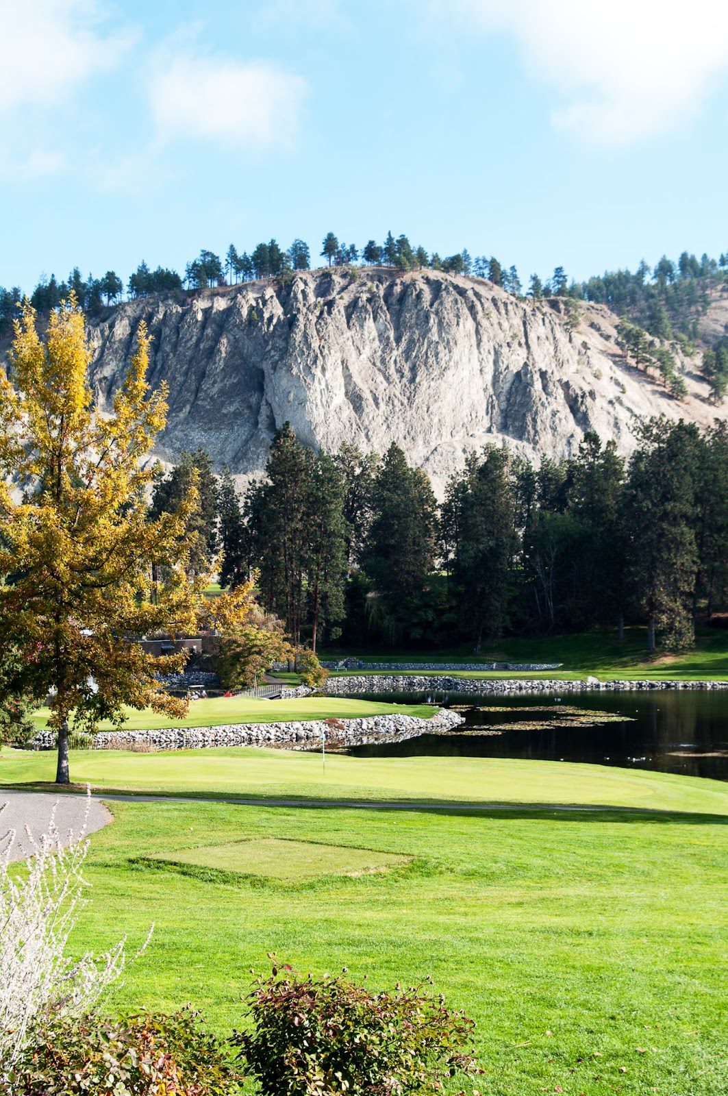 Kelowna's Mission Creek Golf Club view of the greens and a pond with a mountain the background